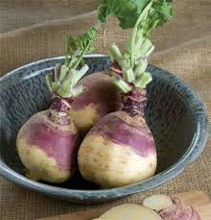 Kohlrabi Seed Packet Collection – Purple & White
