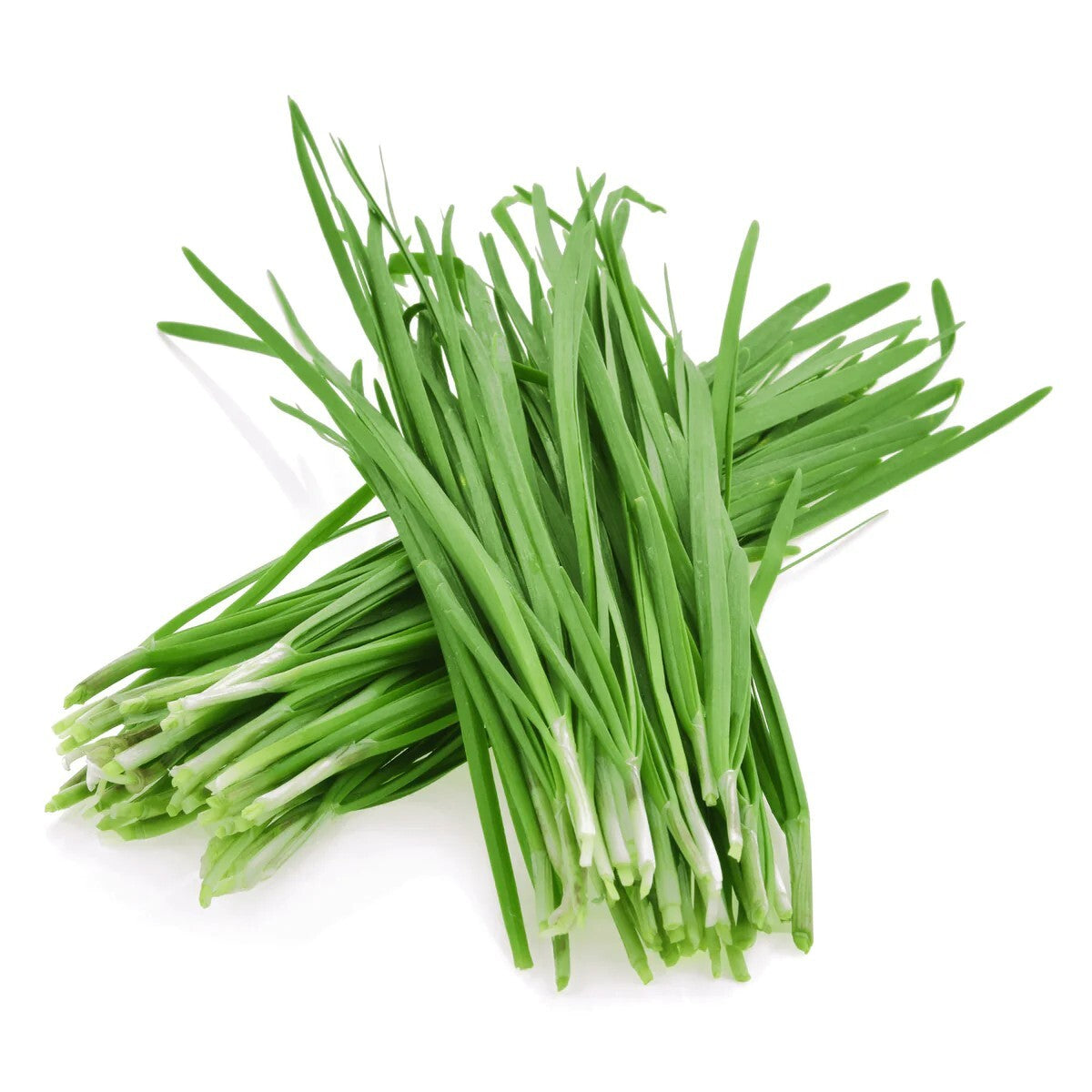 Chinese Leek Seeds