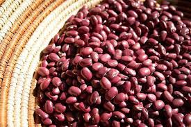 Hidatsa Red Pole Bean