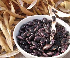 D'Allesandro Scarlet Runner Beans