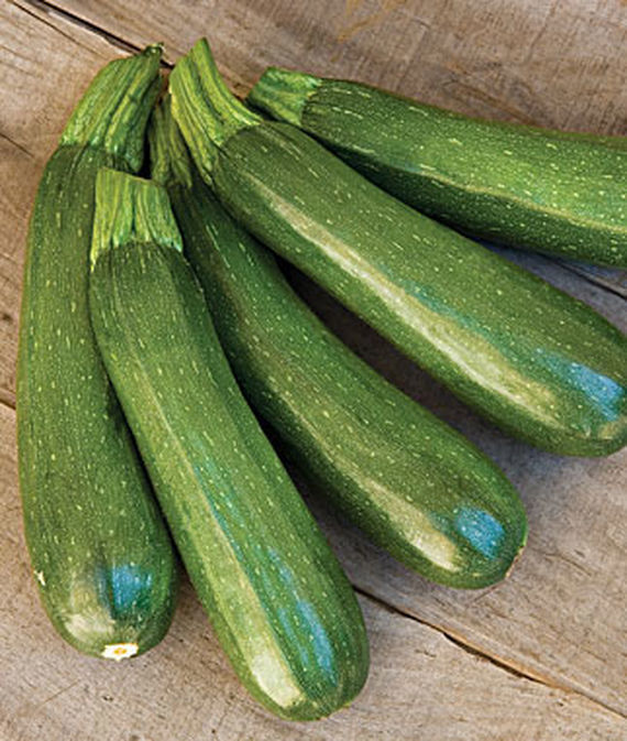 Burpee Sicheres Ding Zucchini Samen