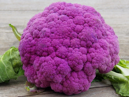 Lila Sizilianische Blumenkohlsamen