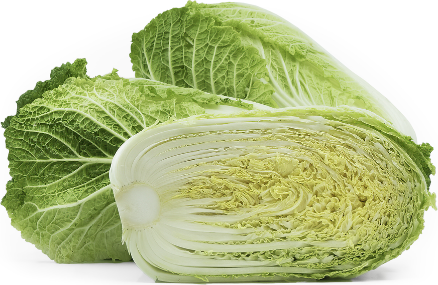 Graines de chou chinois Bok Choy