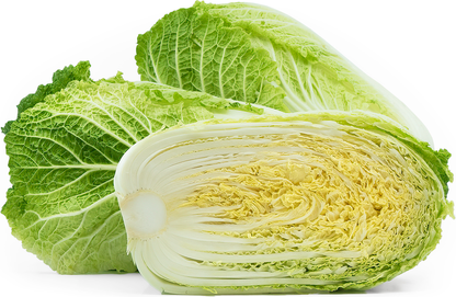 Graines de chou chinois Bok Choy