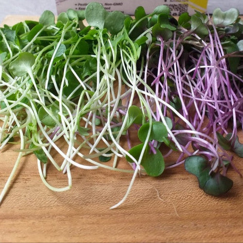 Bulk Salad Mix Microgreens Seeds
