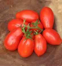 Semi di pomodoro Roma di Martino