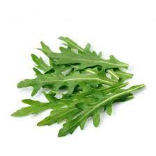 „Astro“ Rucola Samen
