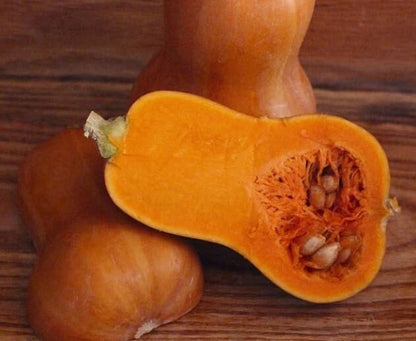 Semi di zucca Honeynut
