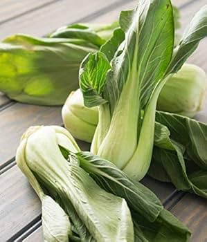 Semi di Bok Choy Benedizione di Gaea