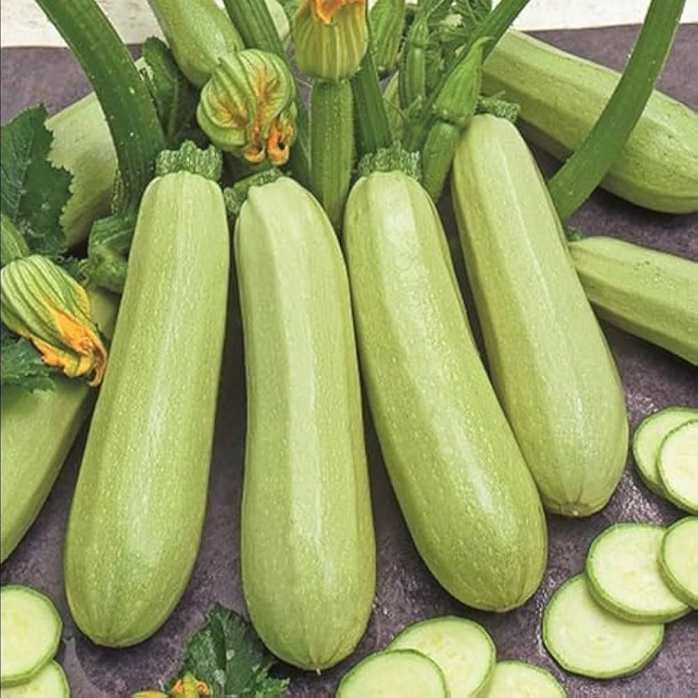 Zucchini Samen - Erbstück Samen zum Pflanzen