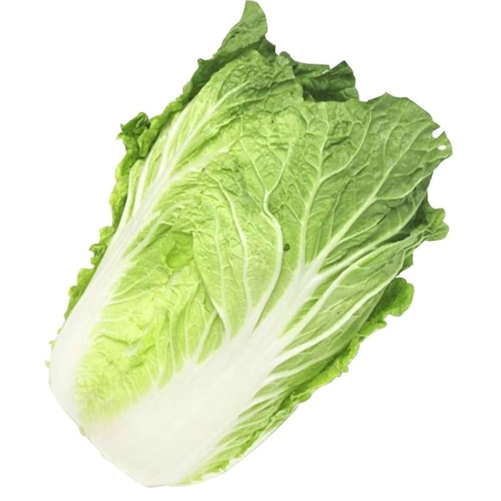 Cabbage Seeds for Planting Chinees Napa Lettuce seeds
