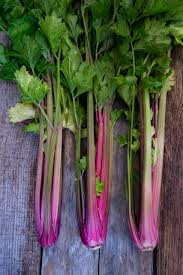 Graines de rhubarbe - Cultivez des légumes dans votre jardin à la maison