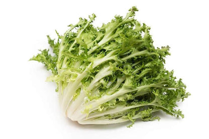 Semillas de achicoria - Semillas de verduras para jardín en casa