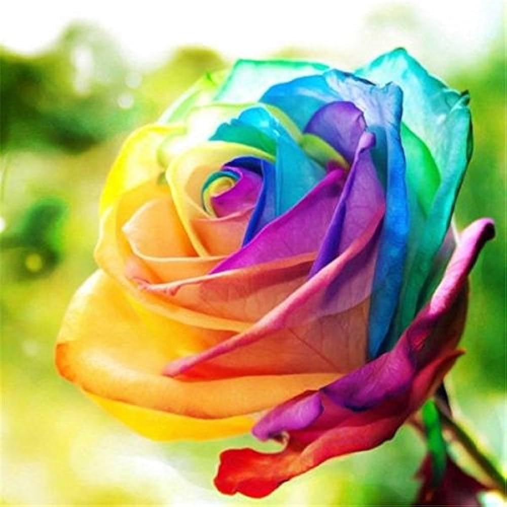 Rainbow Rose Flower Seeds