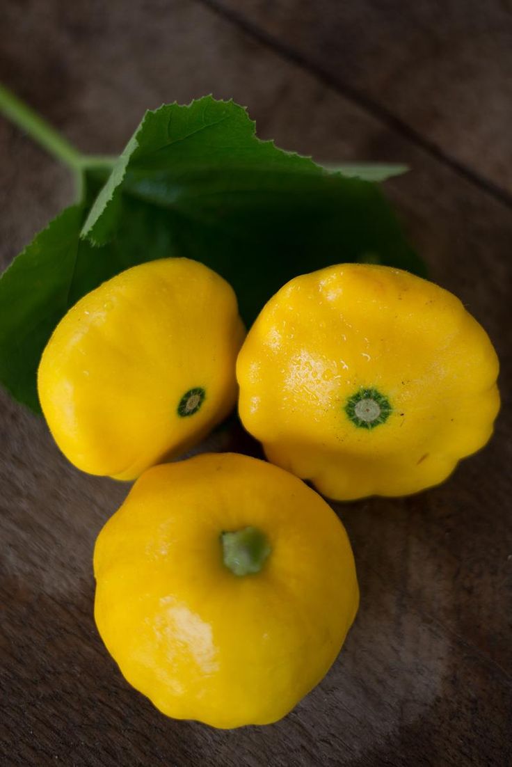 Jakobsmuschelkürbis Patty Pan Sunburst Fruchtsamen