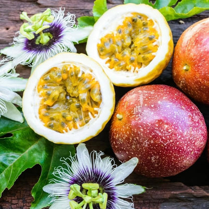 Tropische Passionsfruchtsamen