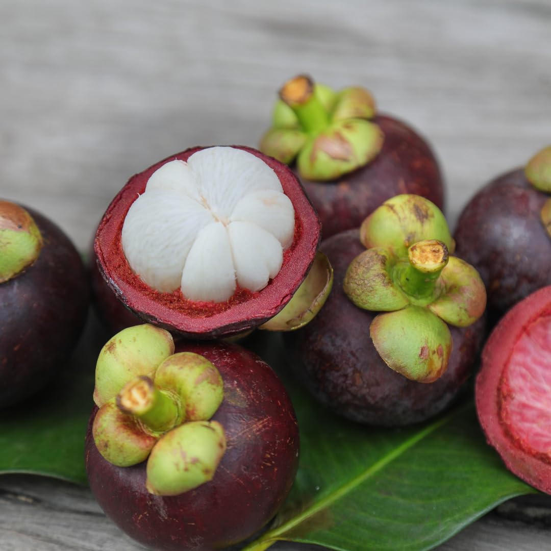 Mangosteen Fruit Seeds