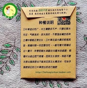 Mini Four Leaf Clover Flower seeds for Planting - Garden Favorite, Heirloom & GMO Free Seeds for Home Garden
 
 Sale for planting in home garden