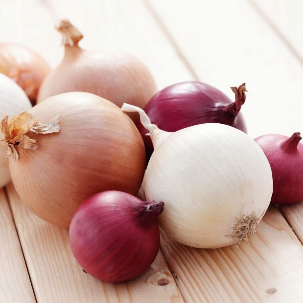 バラエティミックス玉ねぎ野菜の種