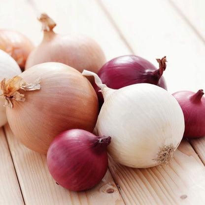 バラエティミックス玉ねぎ野菜の種