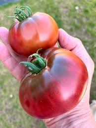 Cherokee Purple Heirloom Tomato Seeds - Large Tomato