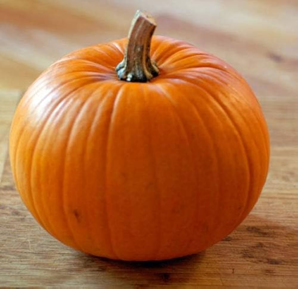 Semi di Zucca Big Max – Ereditarie Non-OGM