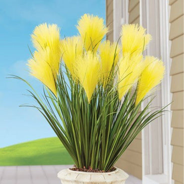 Graines d'herbe de pampa jaune