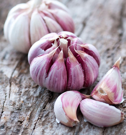 Garlic Vegetable Seeds for Planting: Add Exotic Charm to Your Garden