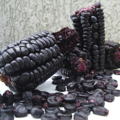 Purple Corn Seeds