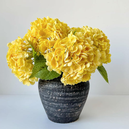 Yellow Hydrangea  Flower Seeds
