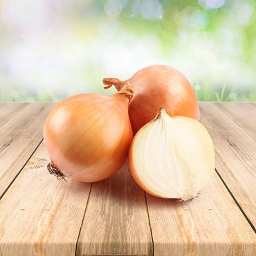 Sweet Yellow Onion Vegetable Seeds for Planting – Heirloom, Non-GMO, Easy to Grow, Annual