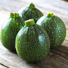 Graines de courgette d'été