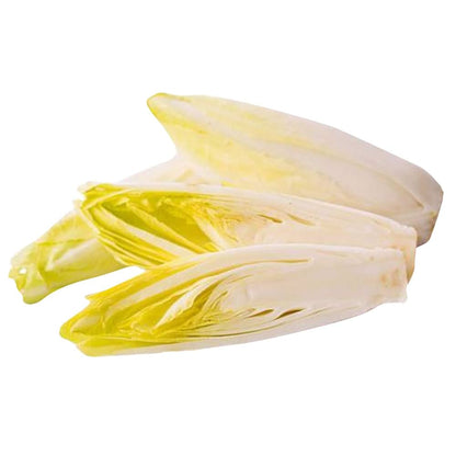 チコリ野菜の種-イエロー