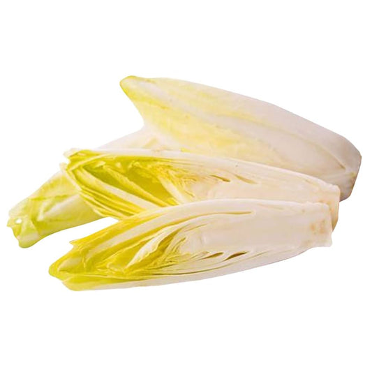 Graines de légumes de chicorée - jaune