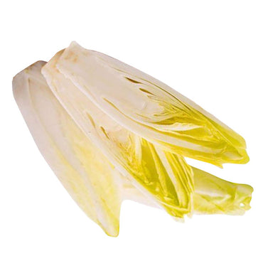 Graines de légumes de chicorée - jaune