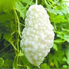 Graines de melon amer à peau blanche