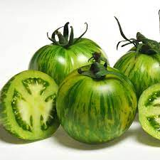 伝統的なトマトの種 – 非遺伝子組み換え野菜の植え付け用