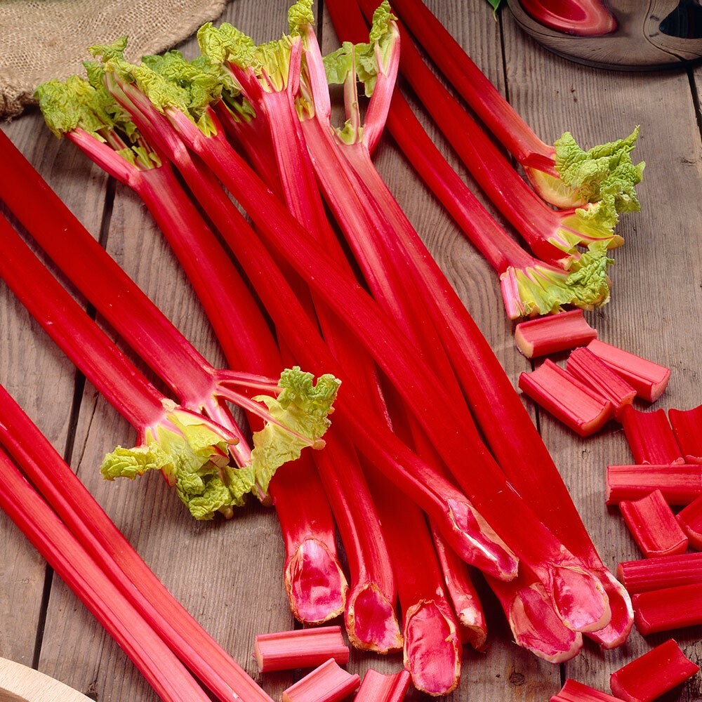 Rhubarb Seeds -Vegetable Gardening Seeds