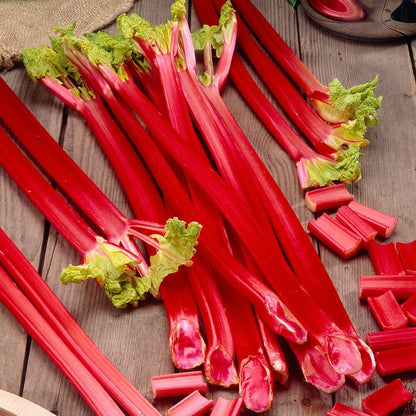 Rhubarb Seeds -Vegetable Gardening Seeds