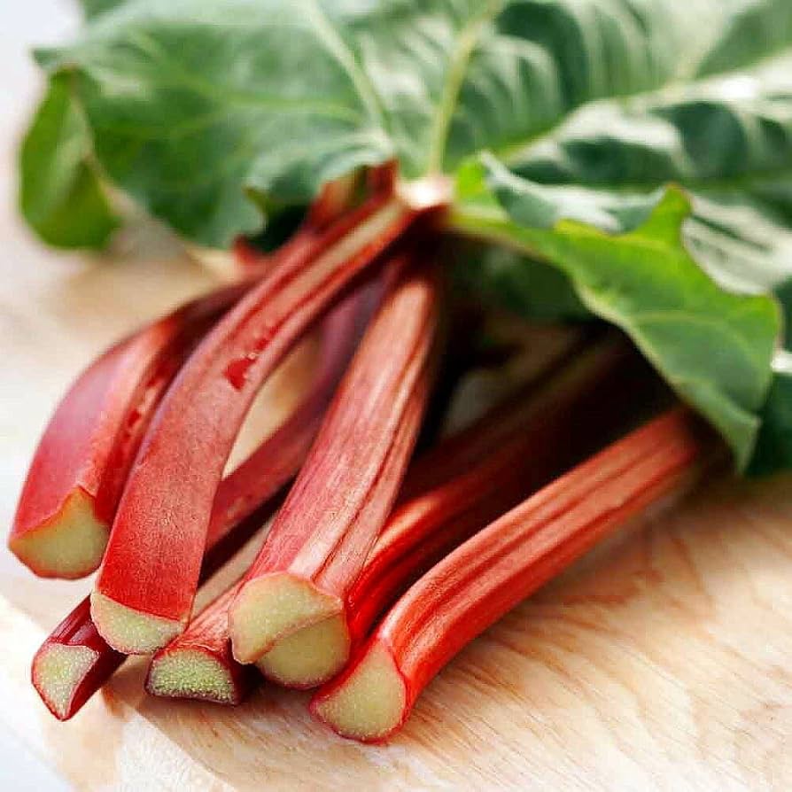 Rhubarb Seeds -Vegetable Gardening Seeds