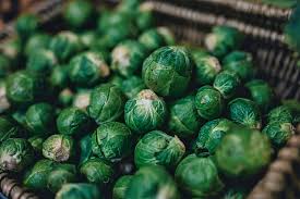Rosenkohl Samen - Ziehen Sie Ihren eigenen Garten groß