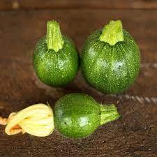 Graines de courgette d'été