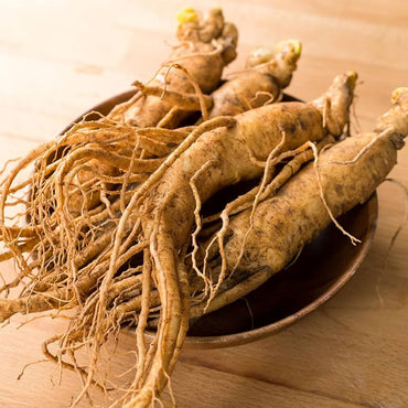 Semi di erba di ginseng coreano