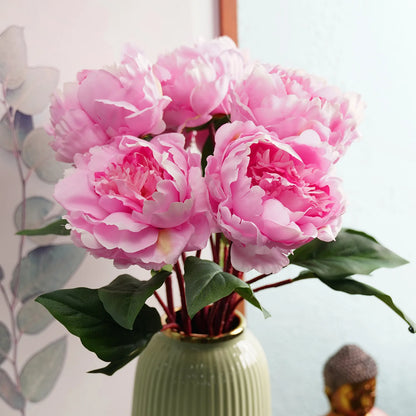 Peony Flower Seeds