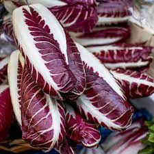 Graines de légumes de chicorée - Rouge