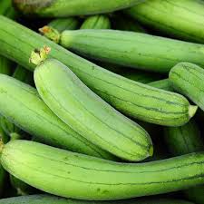 スポンジウリの種子 – ヘチマ（Luffa Cylindrica）