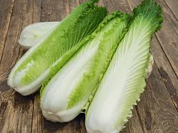 チンゲンサイの種 - ガーデン野菜