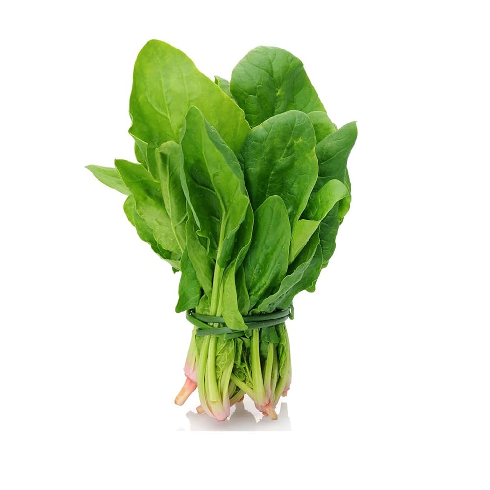 Spinach Seeds for Green Garden Planting