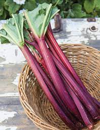 Red Rhubarb Seeds - Easy to grow