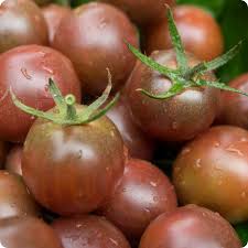 Graines de légumes de tomate cerise brune